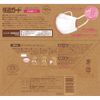 Hakugen Comfort Guard Standard Mask, 1 Box, Small Size, 40 Pieces