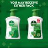 Everyday Protection Liquid Handwash - 200ml