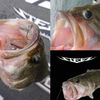 Daiwa #2 Finesse Steese Saxus Bath Worm Hook