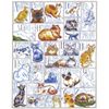 Design Works ABC Cats Cross Stitch Kit, Multi-Colour