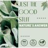 NatureAnswer's Nettle, 2000 mg, 30 ml