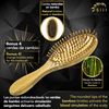Natural Bamboo Bristle Brush + BONUS 4 Change Bristles Special Brush for Massage Scalp Without Damaging Bamboo Handle, Durable, Comfortable and Ergonomic