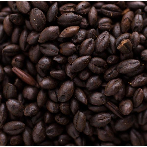 Briess Black Barley - 1 LB, Crushed