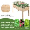 Outdoor Raised Garden Bed with Legs Vegetable Elevated Planter Box Herb Garden