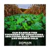 Domain Outdoor Bombshell Food Plot Seed for Deer, 1/2 Acre, Designed to Handl...