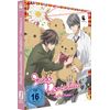 Junjo Romantica - Staffel 3 - Vol.1 - [DVD] mit Sammelschuber
