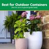 Miracle-Gro Moisture Control Potting Mix, 8-Quart