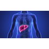 liver protection - LIVER SUPPORT COMPLEX - milk thistle seeds - 60 Capsules