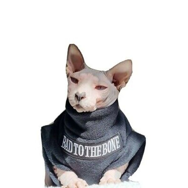 adult M BAD cat clothes, halloween pet clothes, hotsphynx, cat clothes