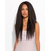 Feme Wig - Smooth Blowout #4