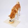 Petio Dog Dinnerware Porta Wood Grain Ceramic Dinnerware Medium