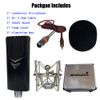 Studio Microphone Kit For Live Stream Broadcast Recording Condenser Cardioid Mic
