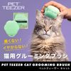 Tangle Teaser Pet Teaser Cat Friendly Mint