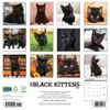 Black Kittens 2026 12" x 12" Wall Calendar
