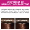 L'Oréal Paris Casting Crème Gloss Hair Dye 500 Light Brown