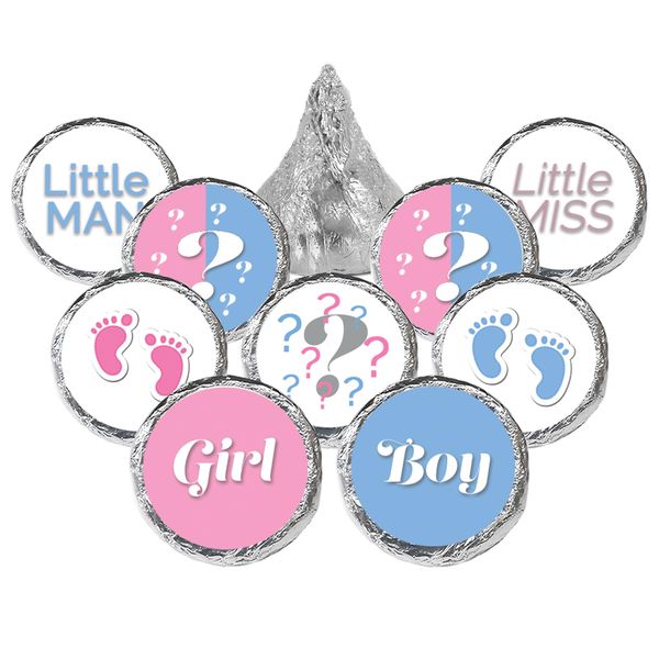 Baby Gender Reveal Party Favor Stickers - 180 Labels