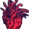 Snake and Heart Patch Embroidered Badge Iron On Sew On Emblem