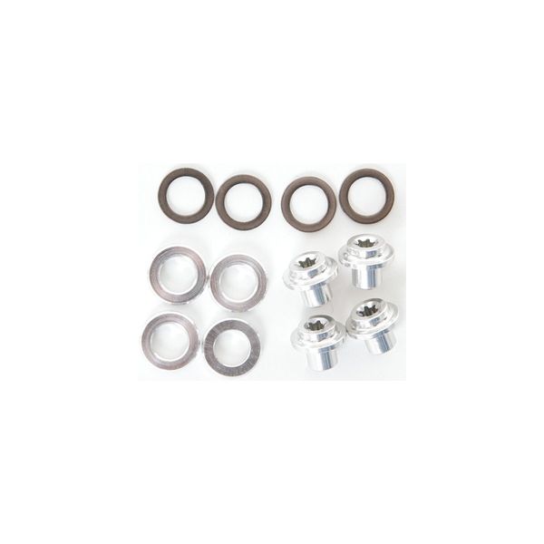 Campagnolo SR/R/CH brake pad fixing nut and washers