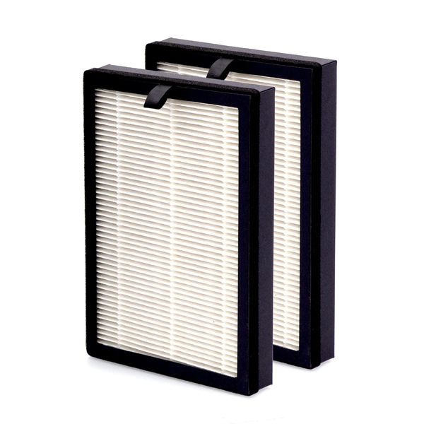 Replacement HEPA/Carbon Filter 2-Pack for Large Room Portable Air Purifiers