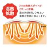 Hisamitsu Pharmaceutical Heat Tools Direct Application Medium (For Waist and Back), 8 Sheets