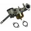 Carburetor Assembly For Briggs & Stratton 256707 256702 Engine Part# 491602