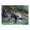 Cobble Hill 1000 Piece Puzzle - Orcas - Sample Poster Included
