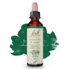 Bach Original Flower Remedies Centaury Be Assertive 0.7 fl oz 20mL