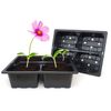 Elixir Gardens 25 x 4 Cell Reusable Seedling Germination Starter Bedding Plant Pack Inserts for Half Size Tray Propagator