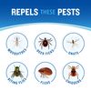 Cutter Dry Insect Repellent, Aerosol, 4-Ounce, 12-Count, Clear