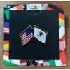 Illinois-US Double Lapel Pin Enamel Lapel Pin