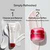 SHISEIDO Essential Energy Hydrating Cream 30 ml