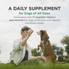 Pet-Tabs Multivitamin and Mineral Supplement for Dogs, Chewable Tablet, 500 Count Bottle for Multidog Household