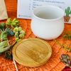 Succulent DIY Kit - 2.5” White Pot & Tray