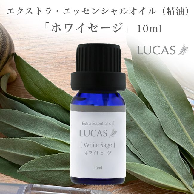 White Sage Essential Oil 10ml [Purification, Awakening, Wisdom] 100% natural ingredients whitesage essential oil from USA LUCAS Essential Oil Cleanse