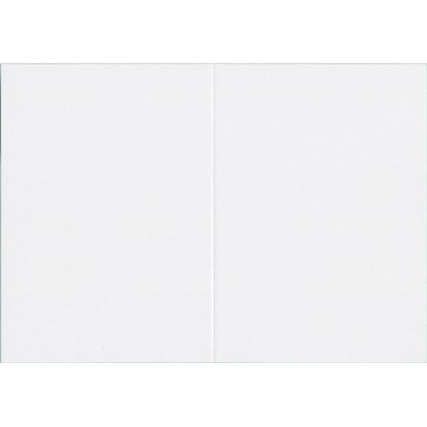 Point Card Paper: L-format Color Laser, Double-Sided Gloss, Semi-Gloss, 242.3 lbs (110 kg), Double Fold Creased, ex 100 Sheets