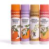 Badger Lip Balm 4 Sticks Gift Set Green Pack