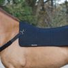 Back on Track Harness