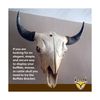 Buffalo Bracket for Large Size Game - 100lbs Capacity Skull Wall Mount - Idea...