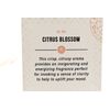 RM 1019 No. 004 Citrus Blossom Reed Diffuser NIB