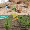 Deep Root Tree Watering Tool 32 Inch Stainless Steel Irrigator With T Handle