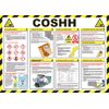 Safety First Aid Group COSHH Poster - Laminated (A2)