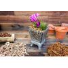 SuperMoss (22330) Orchid Sphagnum Moss Dried, Natural, 2.1lbs Small Bale