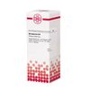 Abrotanum D4 DHU Dilution, 20 ml Lösung