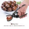 Qiilu 2 in 1 Multi-functional Nutcracker Nutcracker Walnut Cracker Crab Shell Crab Crab Shell