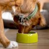 Nobby Ceramic Feeding Trough