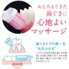 Systema Hug Plus Toothbrush, Ultra Compact, Normal, Set of 6