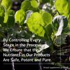 Standard Process Inc. Prost-X - Whole Food Prostate, Bone Health Supplement and Bone Support with Spanish Moss - 90 Capsules