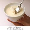 NOJI CUT-SU-07 Honeki Ice Spoon
