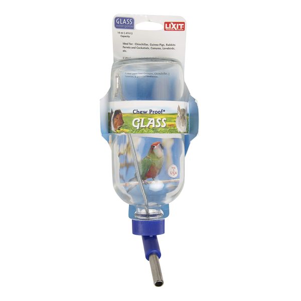 LIXIT Chew Proof Glass Water Bottle 16oz