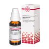 Marum verum D2 DHU Dilution, 20 ml Lösung
